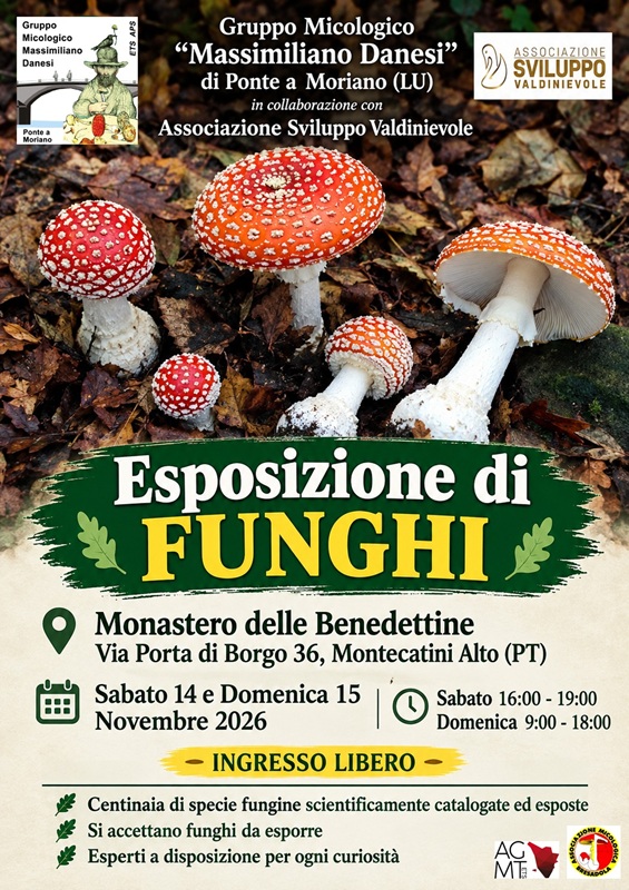 Mostra Montecatini